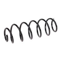 Molla di sospensione posteriore