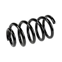 Molla di sospensione posteriore