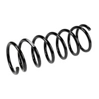 Molla di sospensione posteriore