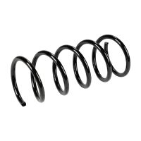 Molla di sospensione posteriore