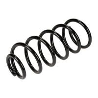 Molla di sospensione posteriore