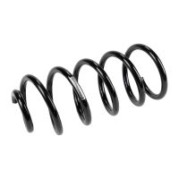 Molla di sospensione posteriore