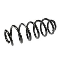 Molla di sospensione posteriore