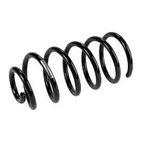 Molla di sospensione posteriore