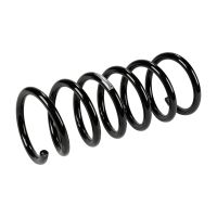 Molla di sospensione posteriore