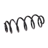 Molla di sospensione posteriore