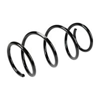 Molla di sospensione anteriore