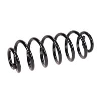 Molla di sospensione posteriore