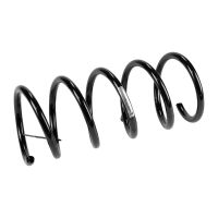 Molla di sospensione posteriore