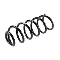 Molla di sospensione posteriore