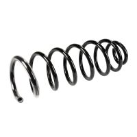 Molla di sospensione posteriore