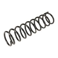 Molla di sospensione posteriore