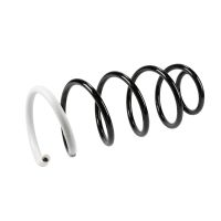 Molla di sospensione anteriore