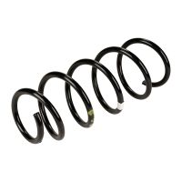 molla elicoidale davanti