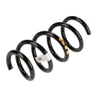 molla elicoidale davanti