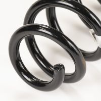 Molla a spirale sul retro