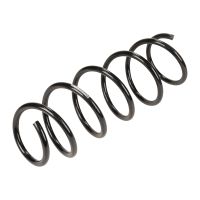 Molla elicoidale anteriore