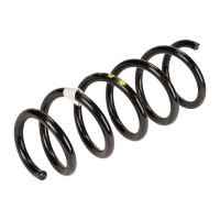 molla elicoidale davanti