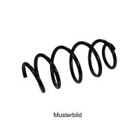 Primavera anteriore sinistra