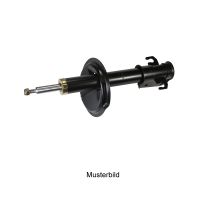 Ammortizzatore anteriore