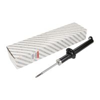 Ammortizzatore anteriore