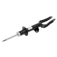 Ammortizzatore anteriore sinistro