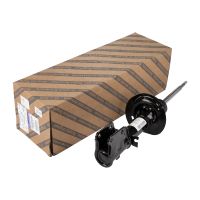 Ammortizzatore anteriore