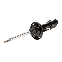 Ammortizzatore anteriore sinistro