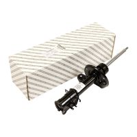 Ammortizzatore anteriore sinistro