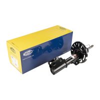 Ammortizzatore anteriore