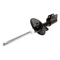 Ammortizzatore anteriore