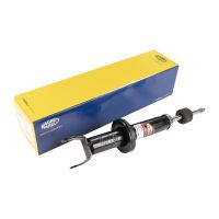 Ammortizzatore anteriore