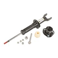 Ammortizzatore anteriore