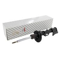 Ammortizzatore posteriore