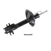 Ammortizzatore posteriore