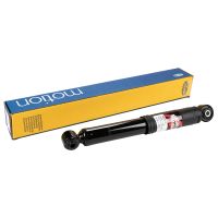 Ammortizzatore posteriore pressione del gas