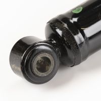 Ammortizzatore posteriore