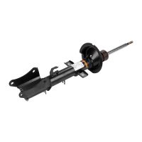 Ammortizzatore posteriore