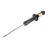 Ammortizzatore posteriore