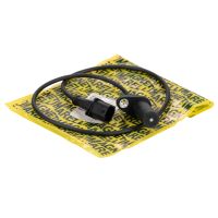 Sensori motore albero