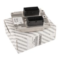 unità di controllo iniezione