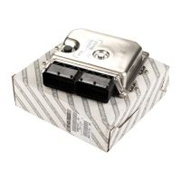 unità di controllo iniezione