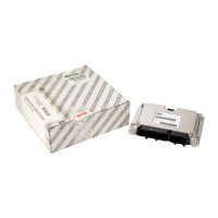 Unità di controllo gestione motore OE