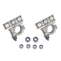 Batteria - Set di terminali più + meno -.