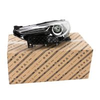 Faro anteriore sinistro