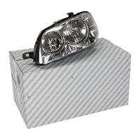 Faro anteriore sinistro