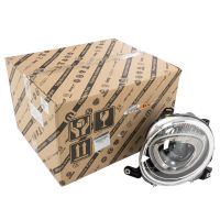 Faro anteriore sinistro