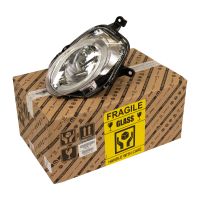 Faro anteriore sinistro in basso