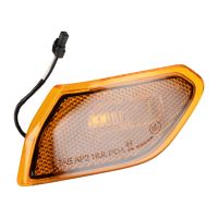 Indicatore di direzione anteriore sinistro