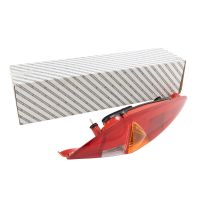 Luce posteriore sinistra